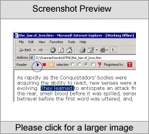 Internet Explorer Page-Reader Bar Screenshot